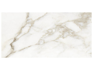 Calacatta 12x24 Heritage Tile & Stone by Anatolia Tile