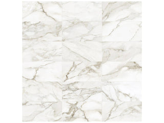 Calacatta 12x24 Matte Tile & Stone by Anatolia Tile
