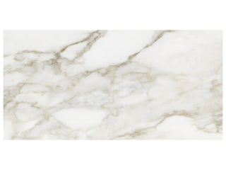 Calacatta 12x24 Matte Tile & Stone by Anatolia Tile