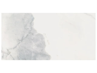 Calacatta 12x24 Tile & Stone by Anatolia Tile