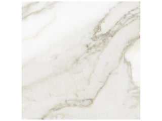 Calacatta 13x13 Tile & Stone by Anatolia Tile