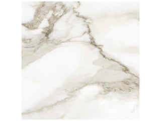 Calacatta 20x20 Tile & Stone by Anatolia Tile
