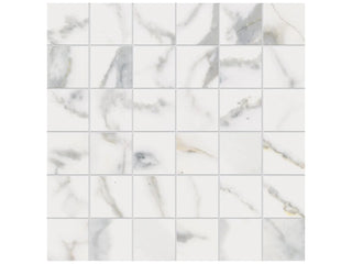 Calacatta 2x2 Tile & Stone by Anatolia Tile