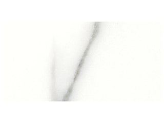 Calacatta 3x6 Tile & Stone by Anatolia Tile