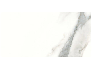 Calacatta 6x12 Tile & Stone by Anatolia Tile