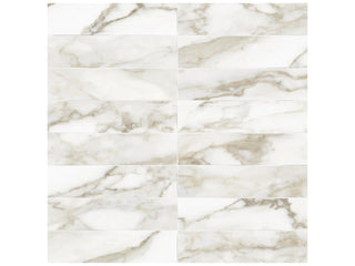 Calacatta Dolce Artisan Tile & Stone by Anatolia Tile