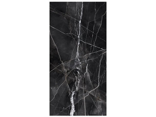 Calacatta Noir / Block 34 Bookmatch 12mm Honed Tile & Stone by Anatolia Tile