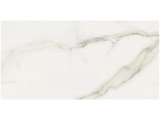 Calacatta Oro 12x24 Polished Tile & Stone by Anatolia Tile