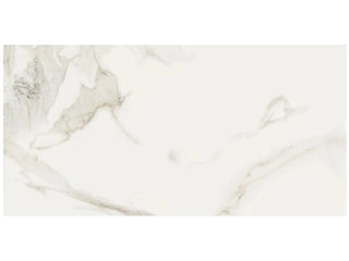 Calacatta Oro 16x32 Matte Tile & Stone by Anatolia Tile