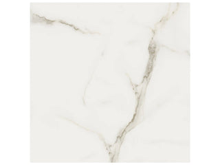 Calacatta Oro 24x24 Matte Tile & Stone by Anatolia Tile
