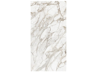 Calacatta Oro / Block 12 Random 6mm Honed Tile & Stone by Anatolia Tile