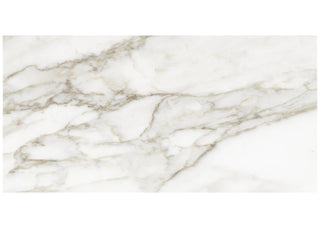 Calacatta Paonazzo 12x24 Polished Tile & Stone by Anatolia Tile