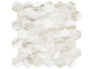 Calacatta Paonazzo 2" Hexagon Polished Tile & Stone by Anatolia Tile
