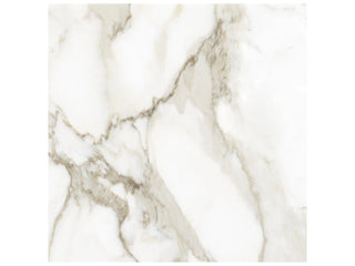 Calacatta Paonazzo 24x24 Honed Tile & Stone by Anatolia Tile