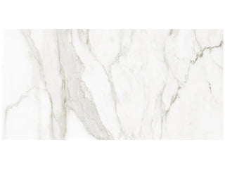 Calacatta Paonazzo 24x48 Polished Tile & Stone by Anatolia Tile