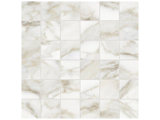 Calacatta Paonazzo 2x2 Honed Tile & Stone by Anatolia Tile