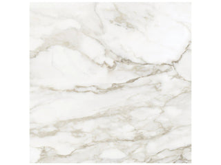 Calacatta Paonazzo 32x32 Honed Tile & Stone by Anatolia Tile