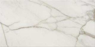 Calacatta Venecia Rectangle Tile & Stone by American Olean