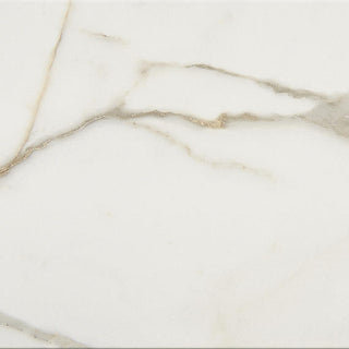 Calacatta Venecia Square Tile & Stone by American Olean