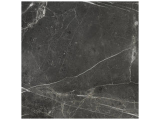 Carbon 20x20 Tile & Stone by Anatolia Tile