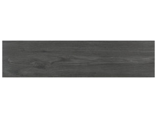 Carbon 6x24 Tile & Stone by Anatolia Tile