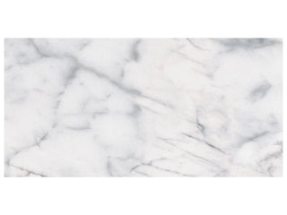 Carrara 12x24 Tile & Stone by Anatolia Tile