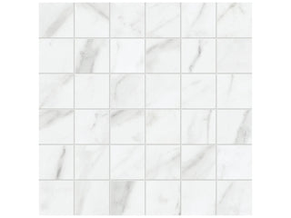 Carrara 2x2 Tile & Stone by Anatolia Tile