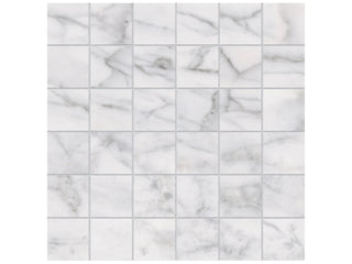 Carrara 2x2 Tile & Stone by Anatolia Tile