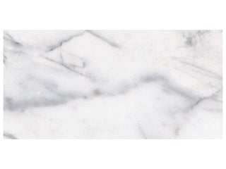 Carrara 6x12 Tile & Stone by Anatolia Tile