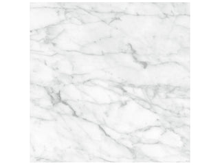 Carrara Abisso 24x24 Polished Tile & Stone by Anatolia Tile