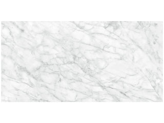 Carrara Abisso 24x48 Polished Tile & Stone by Anatolia Tile