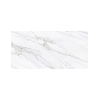CARRARA ESSENCE 24X48 MATTE Tile & Stone by Anthology Tile