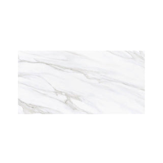 CARRARA ESSENCE 24X48 POLISHED Tile & Stone by Anthology Tile