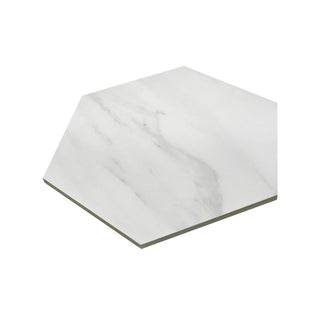 CARRARA ESSENCE HEXAGON MATTE Tile & Stone by Anthology Tile