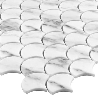 CARRARA FAN Tile & Stone by Anthology Tile
