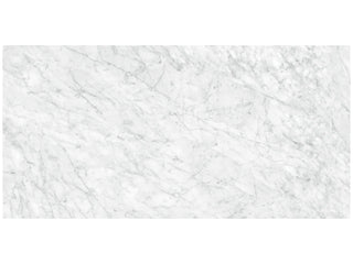Carrara Gioia 24x48 Honed Tile & Stone by Anatolia Tile