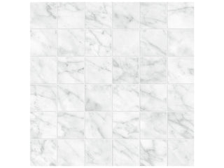 Carrara Gioia 2x2 Honed Tile & Stone by Anatolia Tile