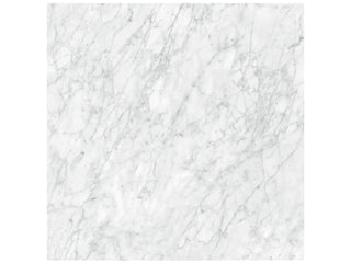 Carrara Gioia 32x32 Polished Tile & Stone by Anatolia Tile