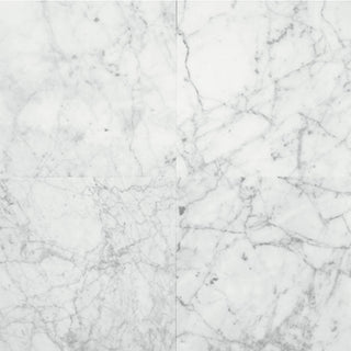 Carrara Gioia Square Tile & Stone by American Olean