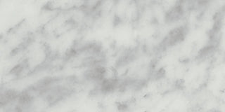 Carrara White Rectangle Polished Tile & Stone by American Olean