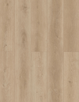 Castle Forge Laminate by Lions Floor