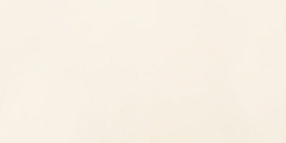 Chalk Rectangle Polished Tile & Stone by American Olean