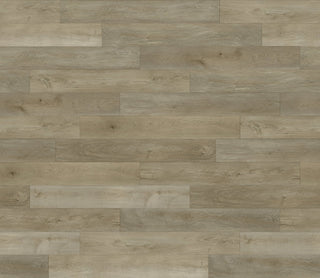 Chamber spc by Paradigm