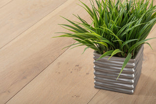 Chateau, French Oak Vilandry Engineered Hardwood by Tesoro Woods