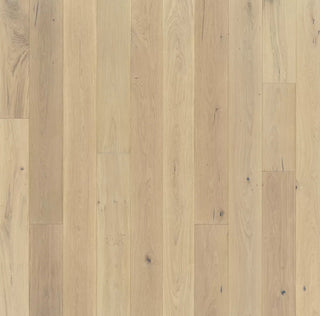 Chateau in Langdon Engineered Hardwood by Paradiso