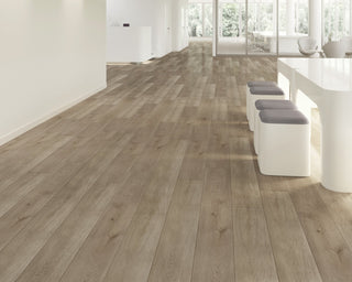 Chateau spc by Paradigm
