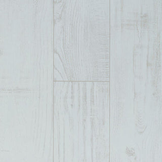 Chestnut White