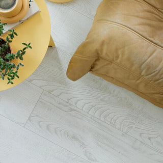 Chestnut White