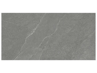 Chromium 12x24 Tile & Stone by Anatolia Tile