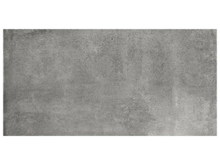 Chromium 24x48 Tile & Stone by Anatolia Tile